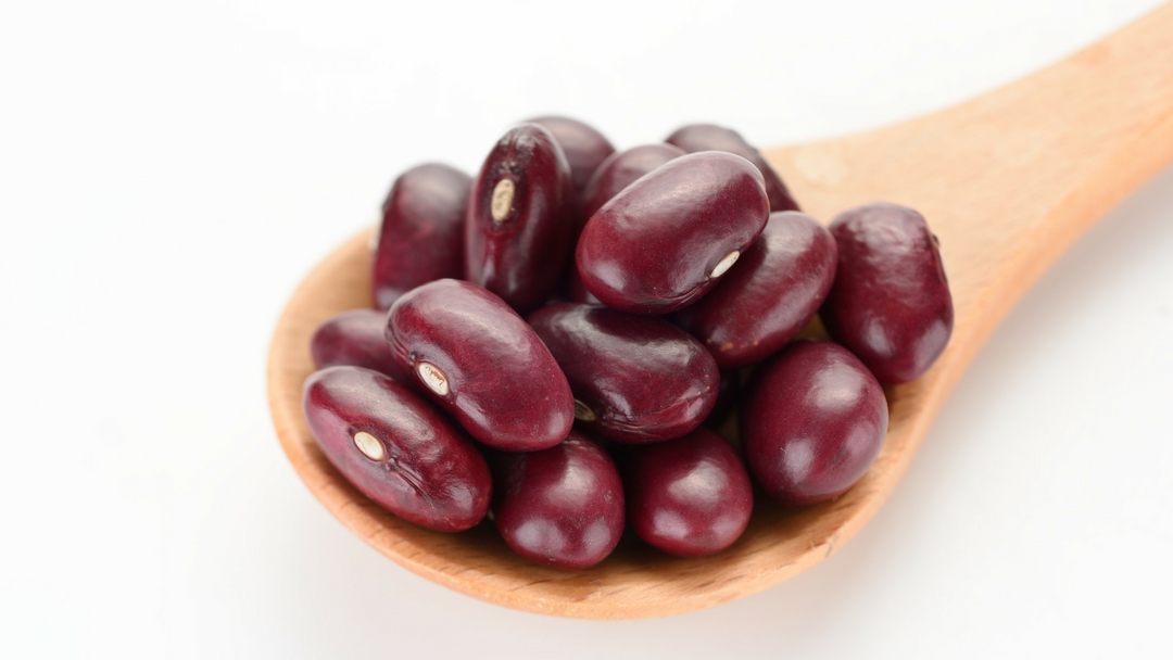The Latest on Lectins