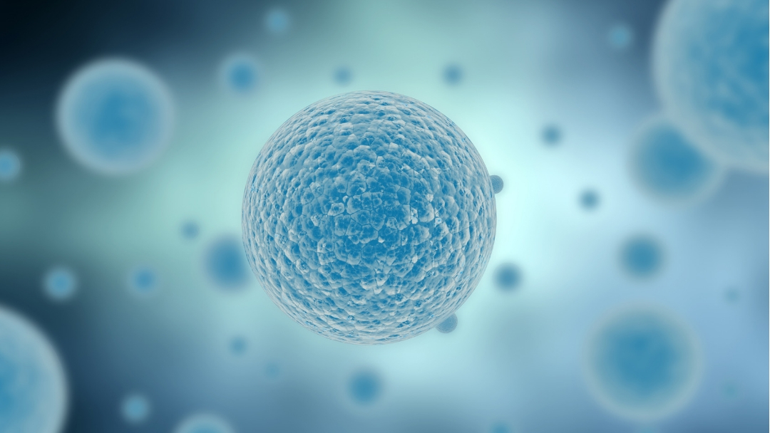 Tips for Staying Healthy When Traveling