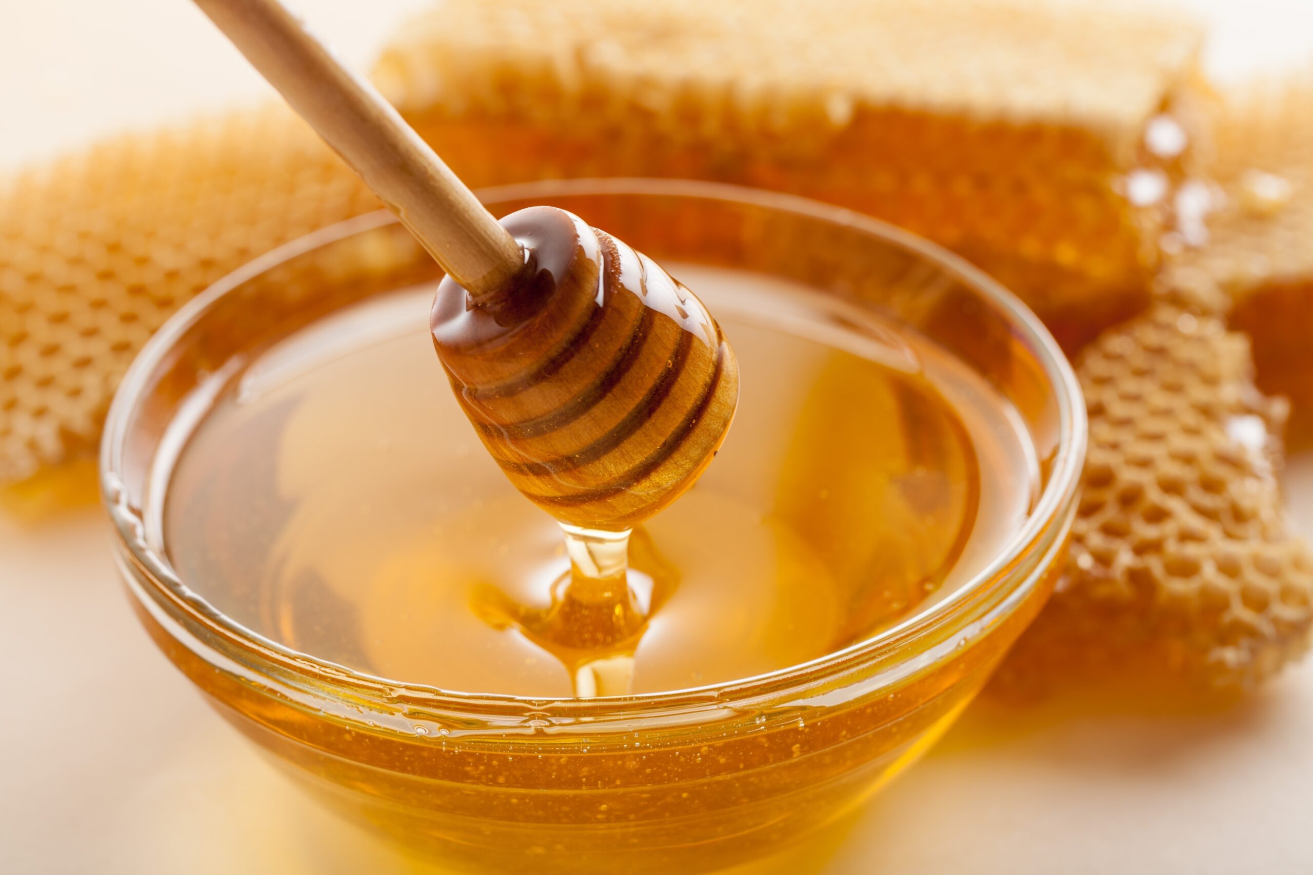 The Medicine of Bees: Honey